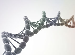 DNA