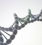 DNA Helix Structure