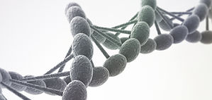 DNA