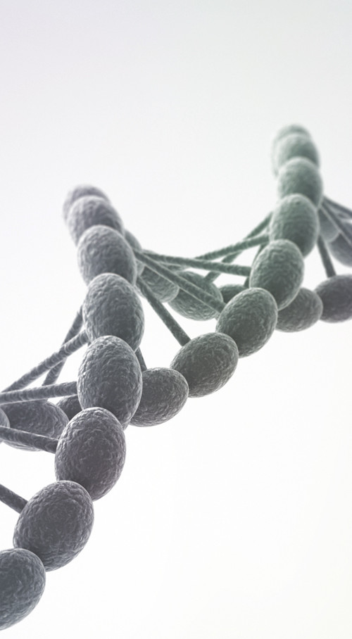 DNA
