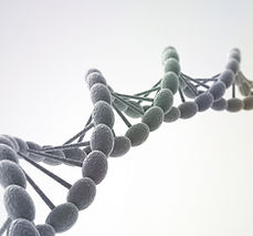 DNA