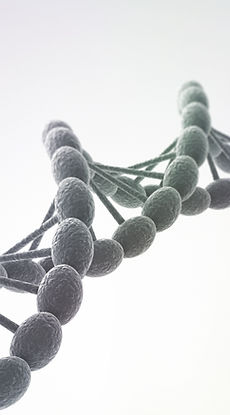 DNA