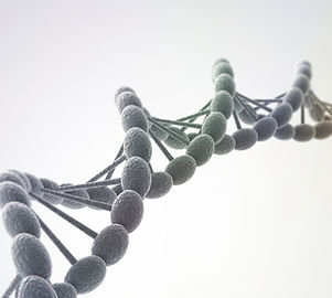 DNA