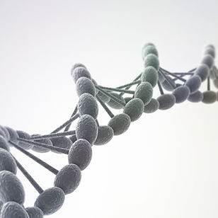 manger sainement, nutrition, lait sans lactose, aliments sans gluten, manger vegan 