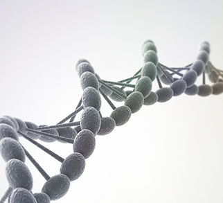 Estrutura de hélice de DNA