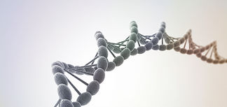 DNA