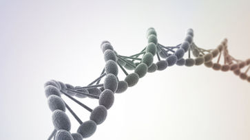 Another Incredible CRISPR Gene Editing Breakthrough