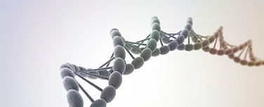 Your genes (DNA)