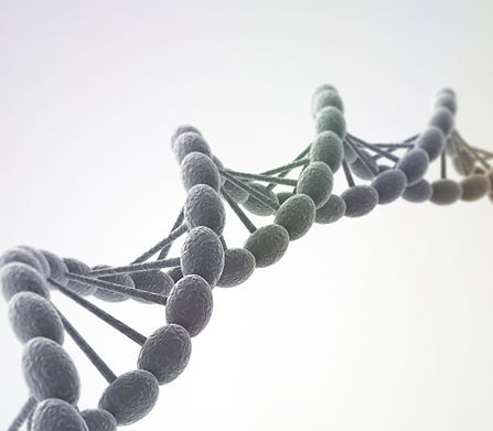 DNA