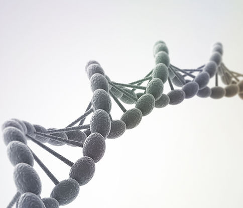 DNA Helix Structure