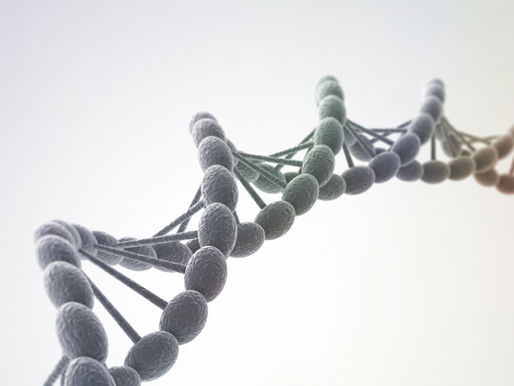 Know your company’s DNA