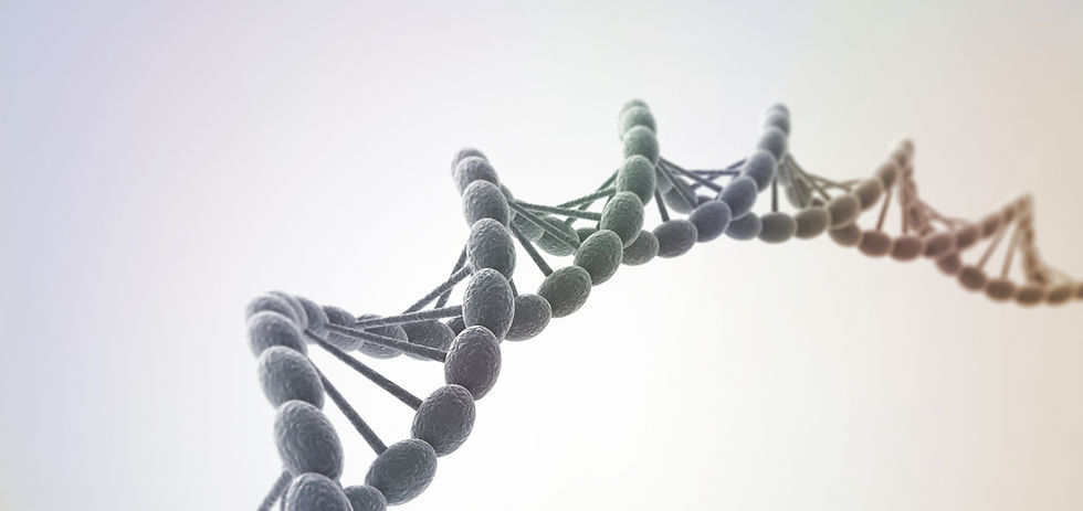 DNA 나선 구조