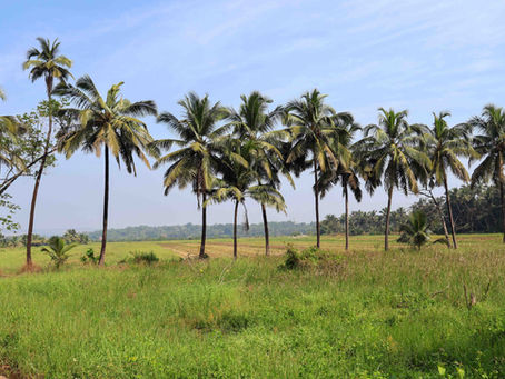 That Beautiful Place Called Aldona