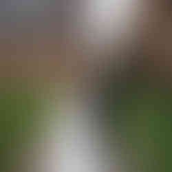 Brautpaar am Zeughaus der Justus-Liebig-Universität