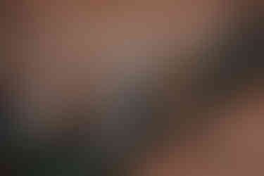 Braut und Bräutigam am Mainufer