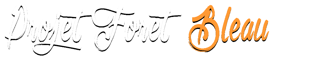 titre_projet_bleau.gif