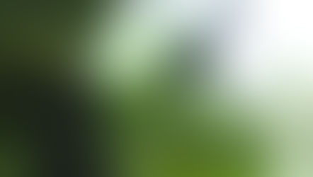 Soyez la goutte d’eau qui fait déborder le vase !