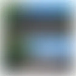 Nettoyage et démoussage de toiture : pourquoi c’est important