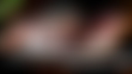 Webinaire : Secourir la faune sauvage en détresse