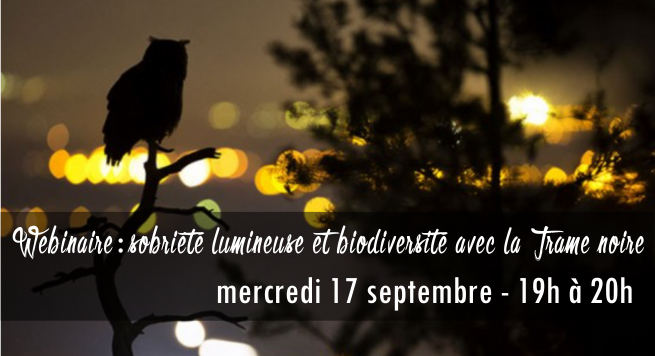 Trame noire