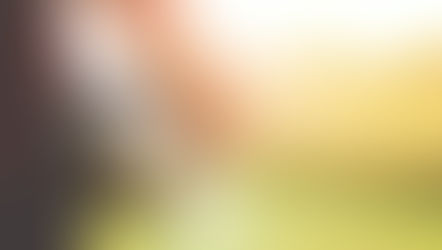 Retour sur la convention citoyenne pour le climat