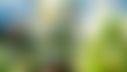 Nature (dé)confinée à observer !