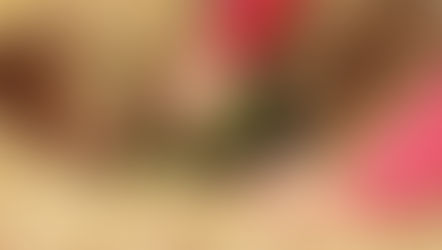 15 gestes sauvages à mettre en place durant le confinement