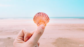 Pourquoi il ne faut pas ramasser sable et coquillages...