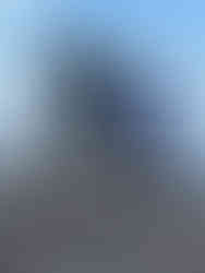 A person standing beside a large statue of three swimming dugongs