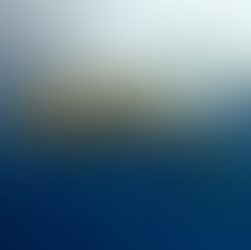 A dugong swimming in the ocean with small fish