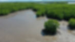 Coastal imagery tool unlocks ecological insights