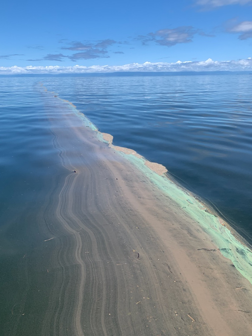 A photo of a stretch of muddy water in the ocean