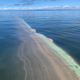 A photo of a stretch of muddy water in the ocean
