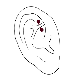 108_Rook