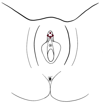 709_Magic_Cross