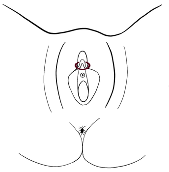 716_Triangle