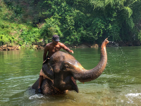 Mims Exotic: My Wild Connection to the Animal Kingdom