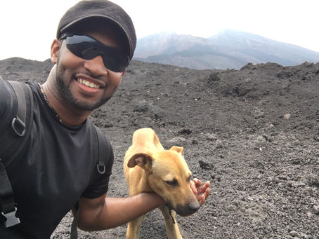 a dog on volcano