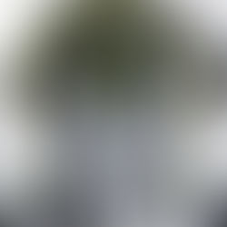 GANON Winter Collection