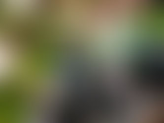 Framing Time with Flowers for FRANCK MULLER