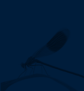Group 8.png