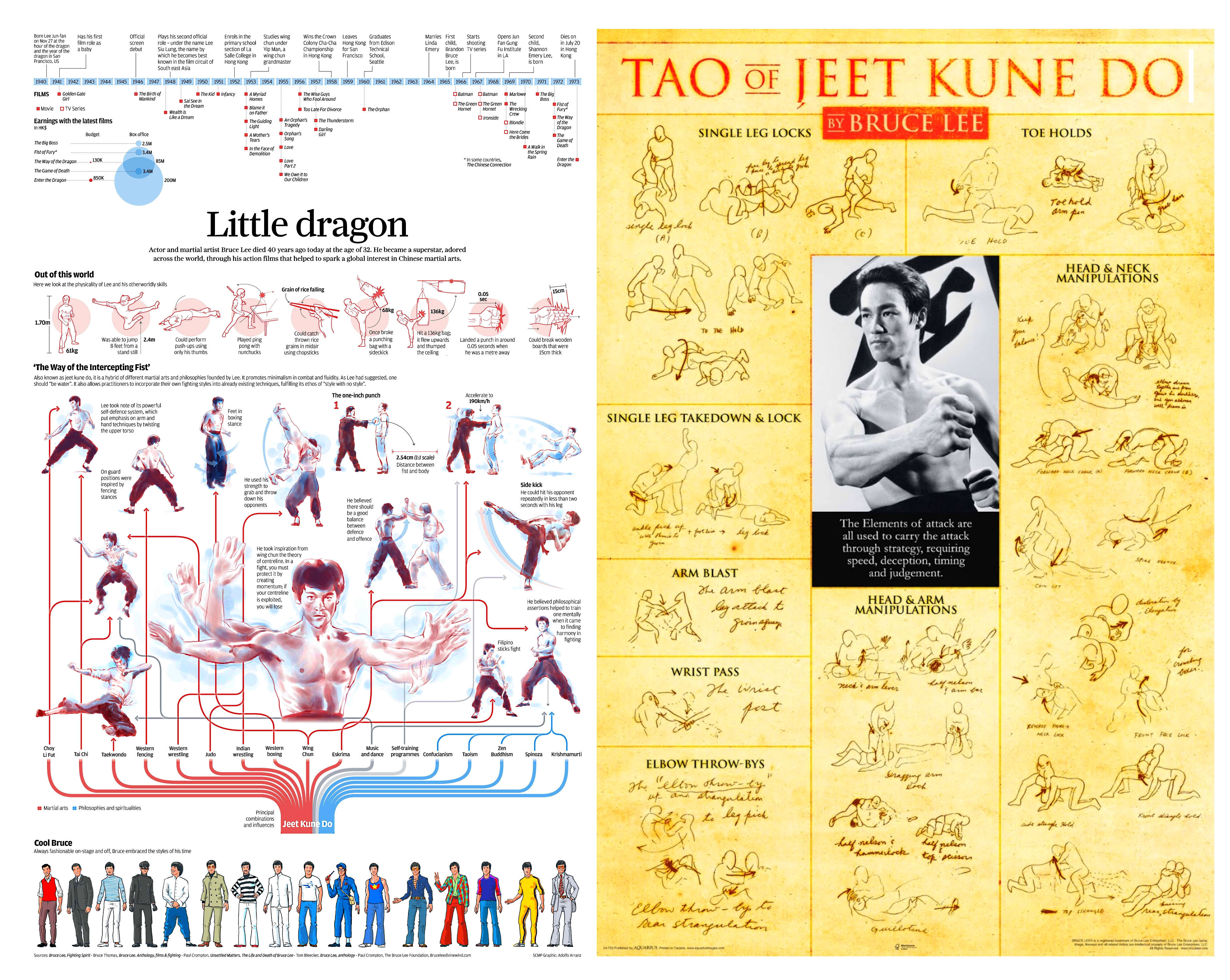 Bruce lee infographic