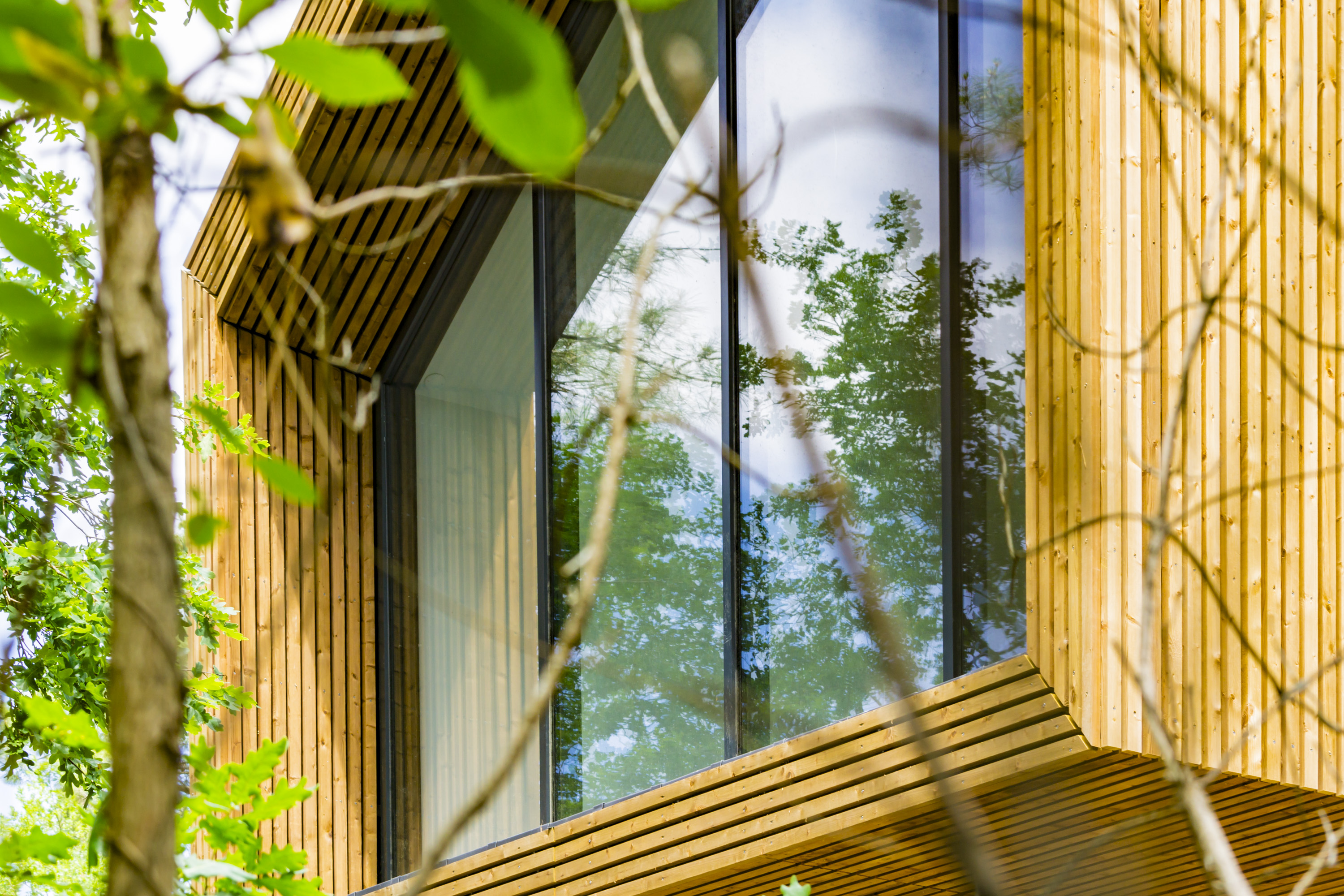 Pignon-transparent-en-foret.jpg