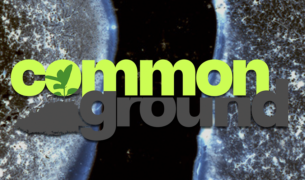 17/04/26 - Common Ground