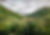 Beautiful Landscape_edited.jpg