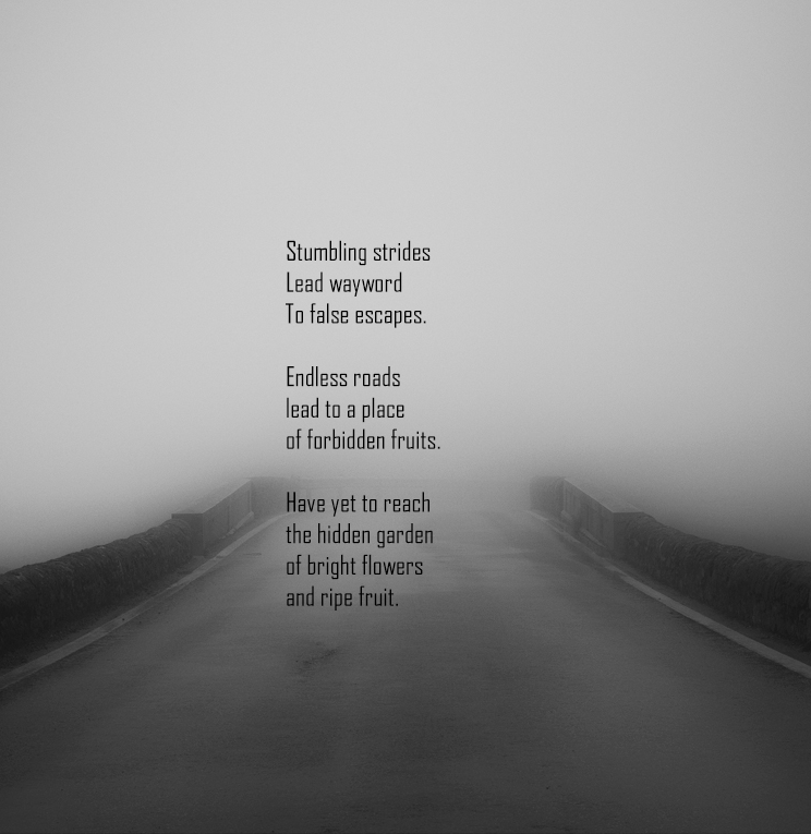 road_to_nowhere_2.png