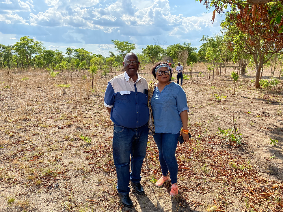 Our competitive advantage photo.HEIC