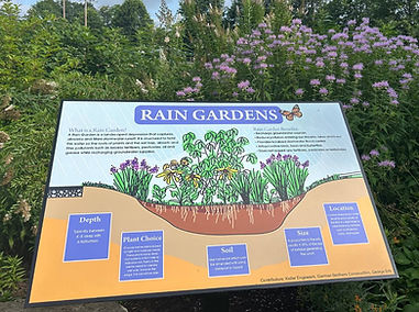 Untitled design (5).jpg