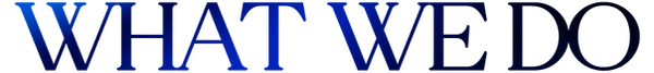 WhatWeDo.png