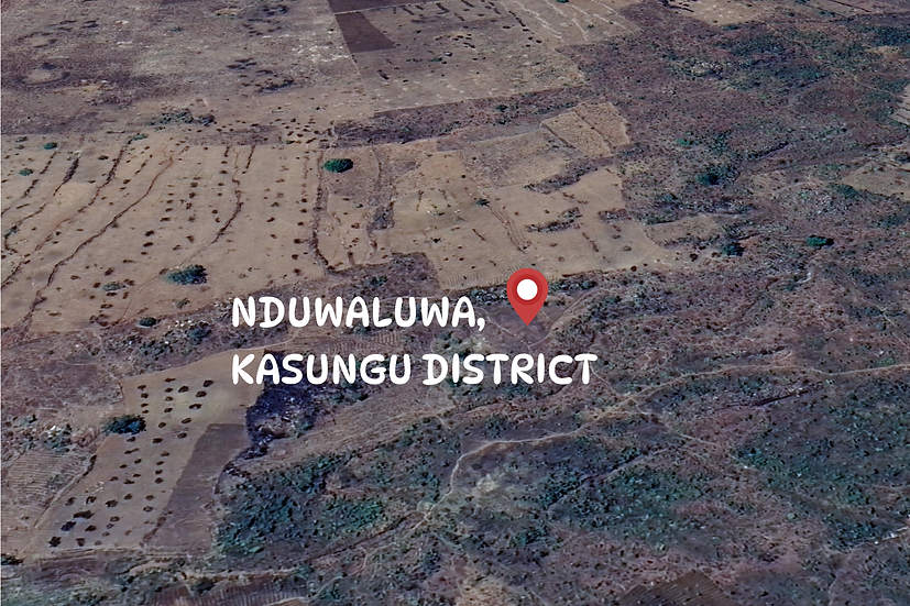Malawi Kusungu.png